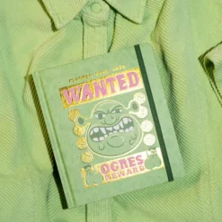 Hot Agenda Escolar Shrek 2025/2026 Día Página Niños Disney Para Niños|Para El Cole