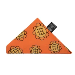 Cinereplicas Ropa One Piece^Bandana y Berry Coins de One Piece