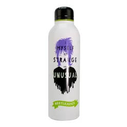 Blue Sky Studios Beetlejuice^Botella acero Beetlejuice 750ml