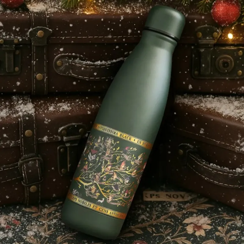 Outlet Botella acero Familia Black 500ml Harry Potter Harry Potter Hogar