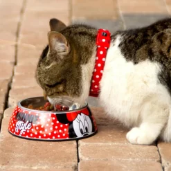 Clearance Comedero para mascotas Minnie Mouse Más Regalos De Disney|Películas Y Personajes De Disney ·Mickey & Minnie