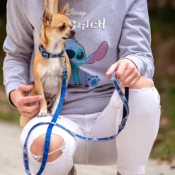 Online Correa para perros Stitch Más Regalos De Disney|Películas Y Personajes De Disney ·Lilo Y Stitch