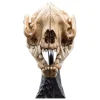 Weta Workshop Figuras El Señor De Los Anillos ^El Señor de los Anillos Estatua Skull of a Warg 20 cm de WETA