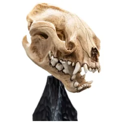 Weta Workshop Figuras El Señor De Los Anillos ^El Señor de los Anillos Estatua Skull of a Warg 20 cm de WETA