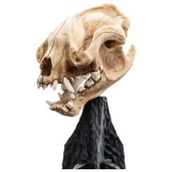 Weta Workshop Figuras El Señor De Los Anillos ^El Señor de los Anillos Estatua Skull of a Warg 20 cm de WETA