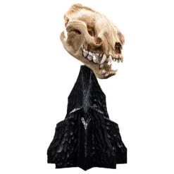 Weta Workshop Figuras El Señor De Los Anillos ^El Señor de los Anillos Estatua Skull of a Warg 20 cm de WETA