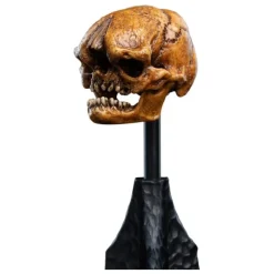 Sale El Señor de los Anillos Estatua Skull of a Misty Mountain Goblin 14 cm Figuras El Señor De Los Anillos