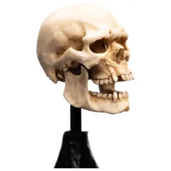 Clearance Estatua Calavera de Orco de Mordor 14 cm El Señor de los Anillos Figuras El Señor De Los Anillos
