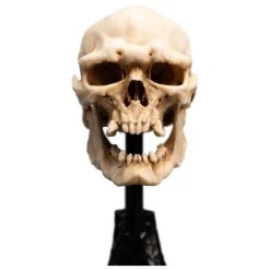 Clearance Estatua Calavera de Orco de Mordor 14 cm El Señor de los Anillos Figuras El Señor De Los Anillos