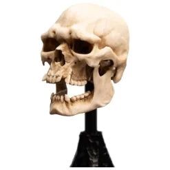 Clearance Estatua Calavera de Orco de Mordor 14 cm El Señor de los Anillos Figuras El Señor De Los Anillos