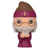 Funko Funko Pop Harry Potter^Pop! Dumbledore con Harry Bebé Harry Potter