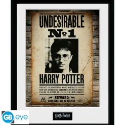 Abystyle Harry Potter Hogar^Harry Potter - Cuadro enmarcado "Undesirable No 1" 30x40 cm
