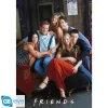 Hot Poster Maxi 91.5x61 de FRIENDS - Grupo Icónico Friends