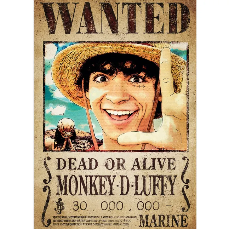 Grupo Erik Cosas De Luffy One Piece|Hogar One Piece^Poster One Piece Netflix Wanted Luffy