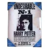 SD Toys Harry Potter Hogar^Poster vidrio Indeseable nº1 Harry Potter
