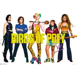 New Póster Birds of Prey DC Comics Regalos De Villanos Dc|Cosas De Villanos Marvel