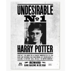 Hot Póster Indeseable Nº1 Harry Potter Harry Potter Hogar