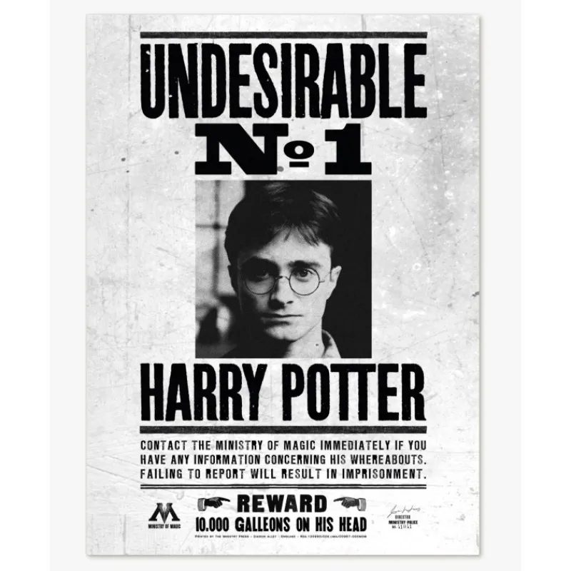 Hot Póster Indeseable Nº1 Harry Potter Harry Potter Hogar