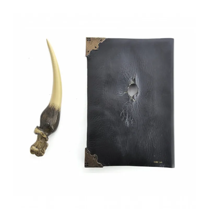 Hot Réplica 1:1 en resina del Diario de Tom Riddle Replicas Colección Harry Potter|Slytherin